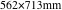 562×713mm