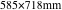 585×718mm
