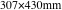 307×430mm