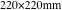 220×220mm