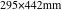 295×442mm