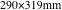 290×319mm