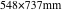 548×737mm