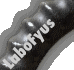 LaboFyus