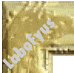LaboFyus