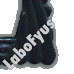 LaboFyus