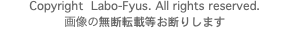 Copyright Labo-Fyus. All rights reserved.
