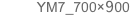 YM7_700×900