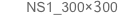 NS1_300×300