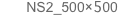 NS2_500×500