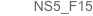NS5_F15