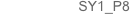 SY1_P8