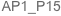AP1_P15