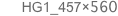 HG1_457×560