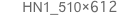HN1_510×612