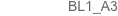 BL1_A3